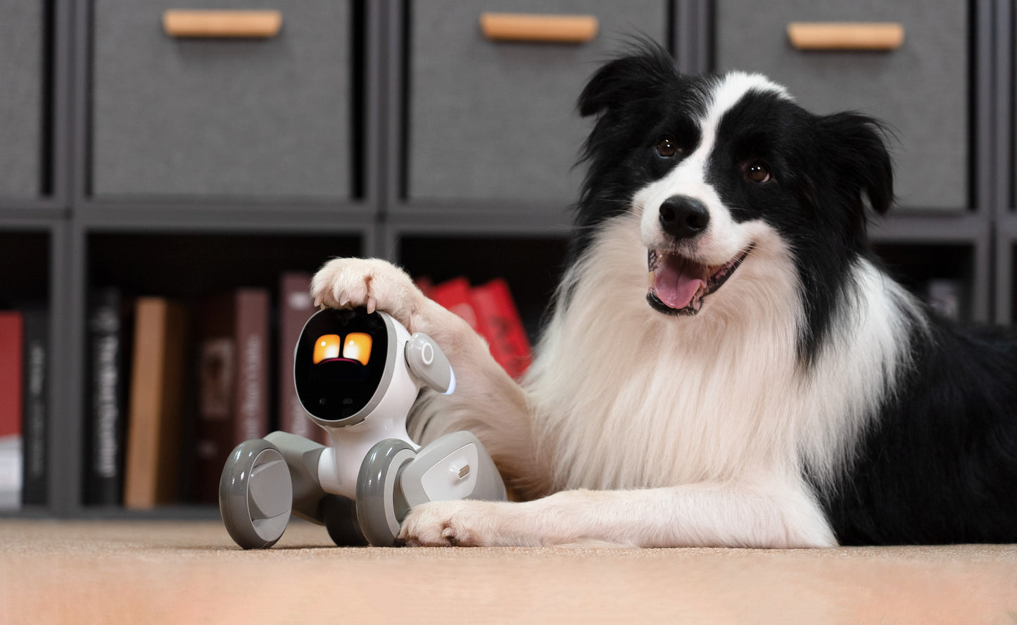 Loona Petbot - Interactive AI Robot Companion with Facial Recognition, ChatGPT Integration, Smart Sensors & Games