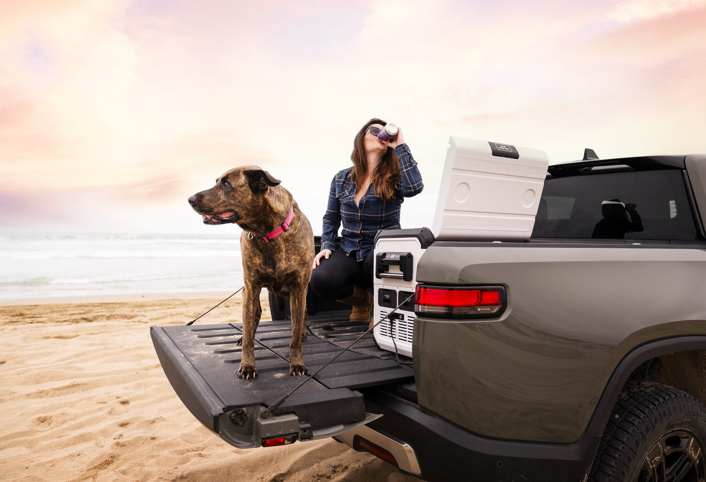 Explorer Bear UR45W 12V/24V Portable Fridge Freezer — 45L/48Qt
