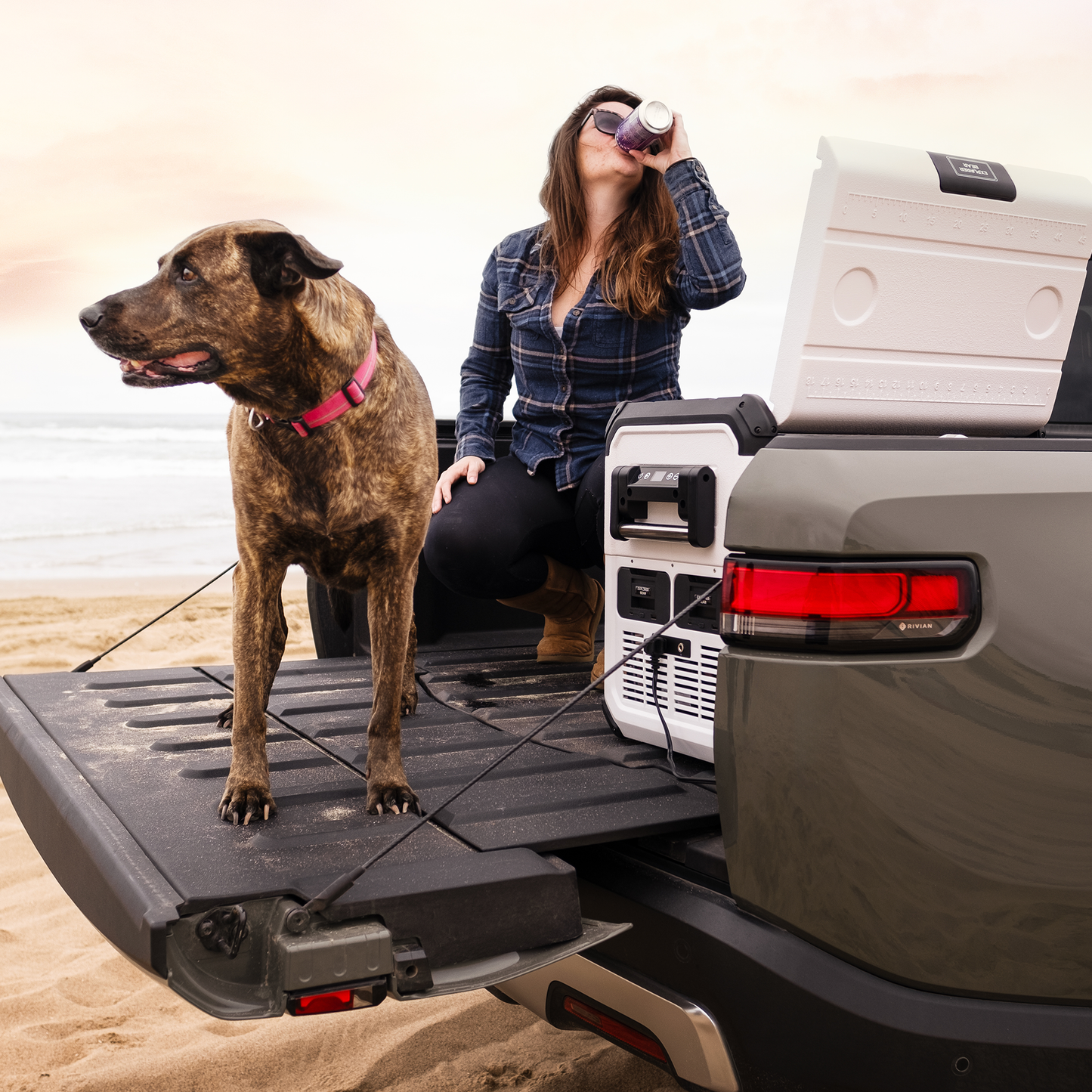 Explorer Bear UR45W 12V/24V Portable Fridge Freezer — 45L/48Qt