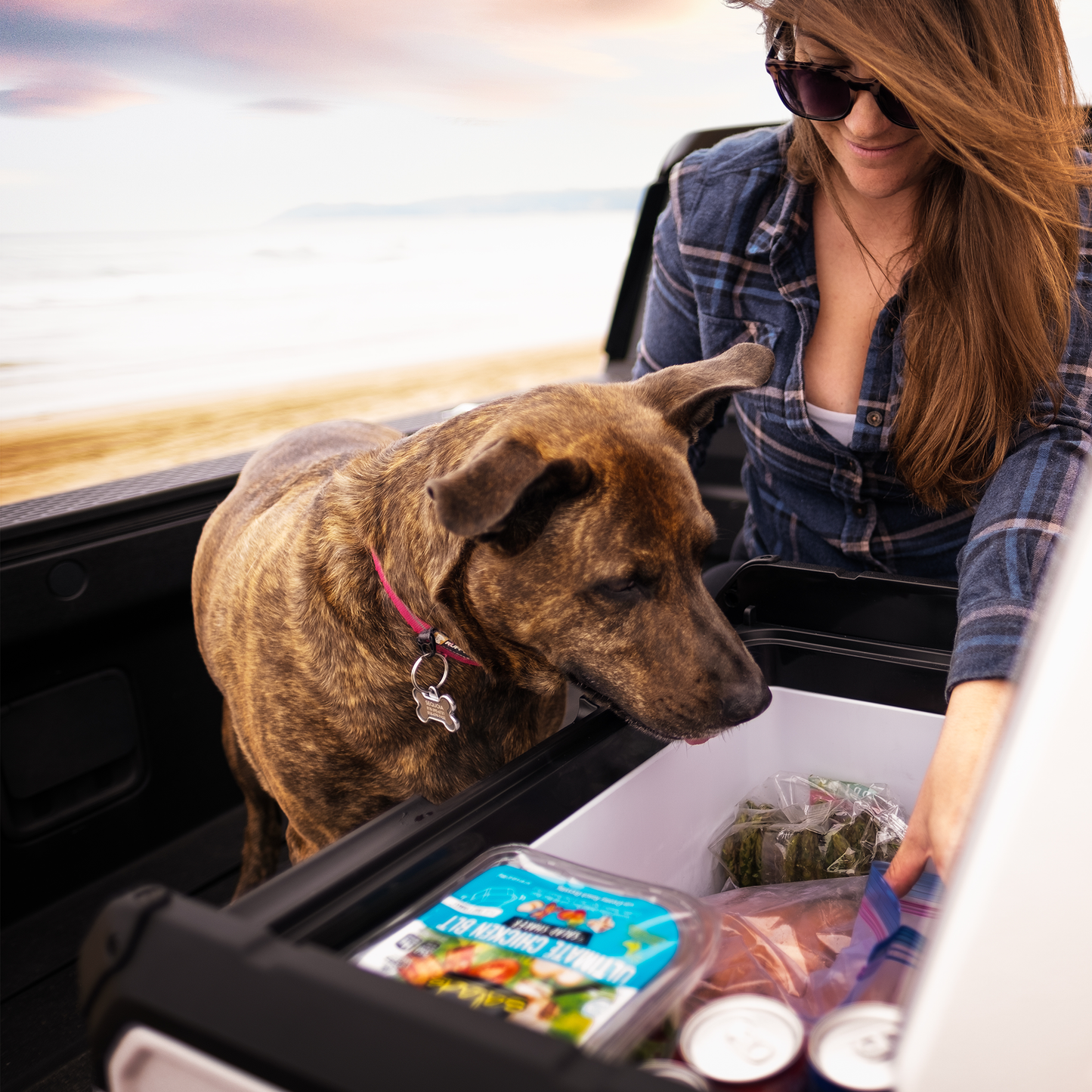 Explorer Bear UR45W 12V/24V Portable Fridge Freezer — 45L/48Qt
