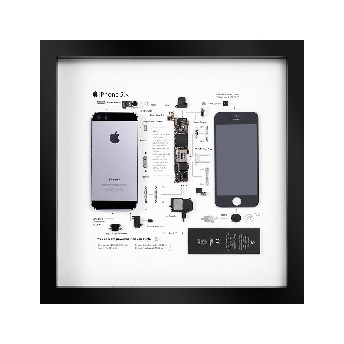 Xreart iPhone 5S Teardown Framed Wall Art - Geek Home Decor Unique Tech Gift for Him